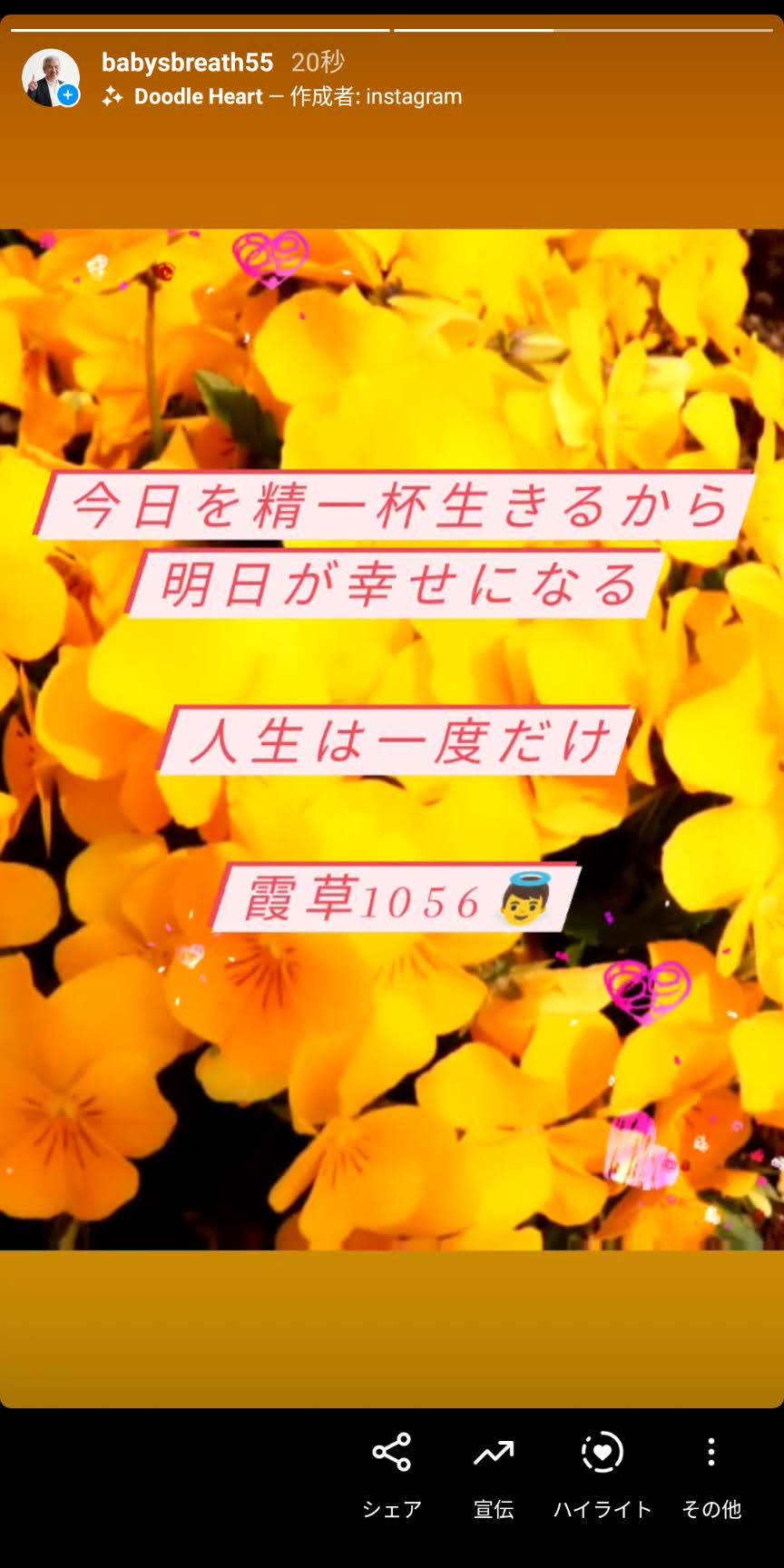 Screenshot_20210526-073635.jpg