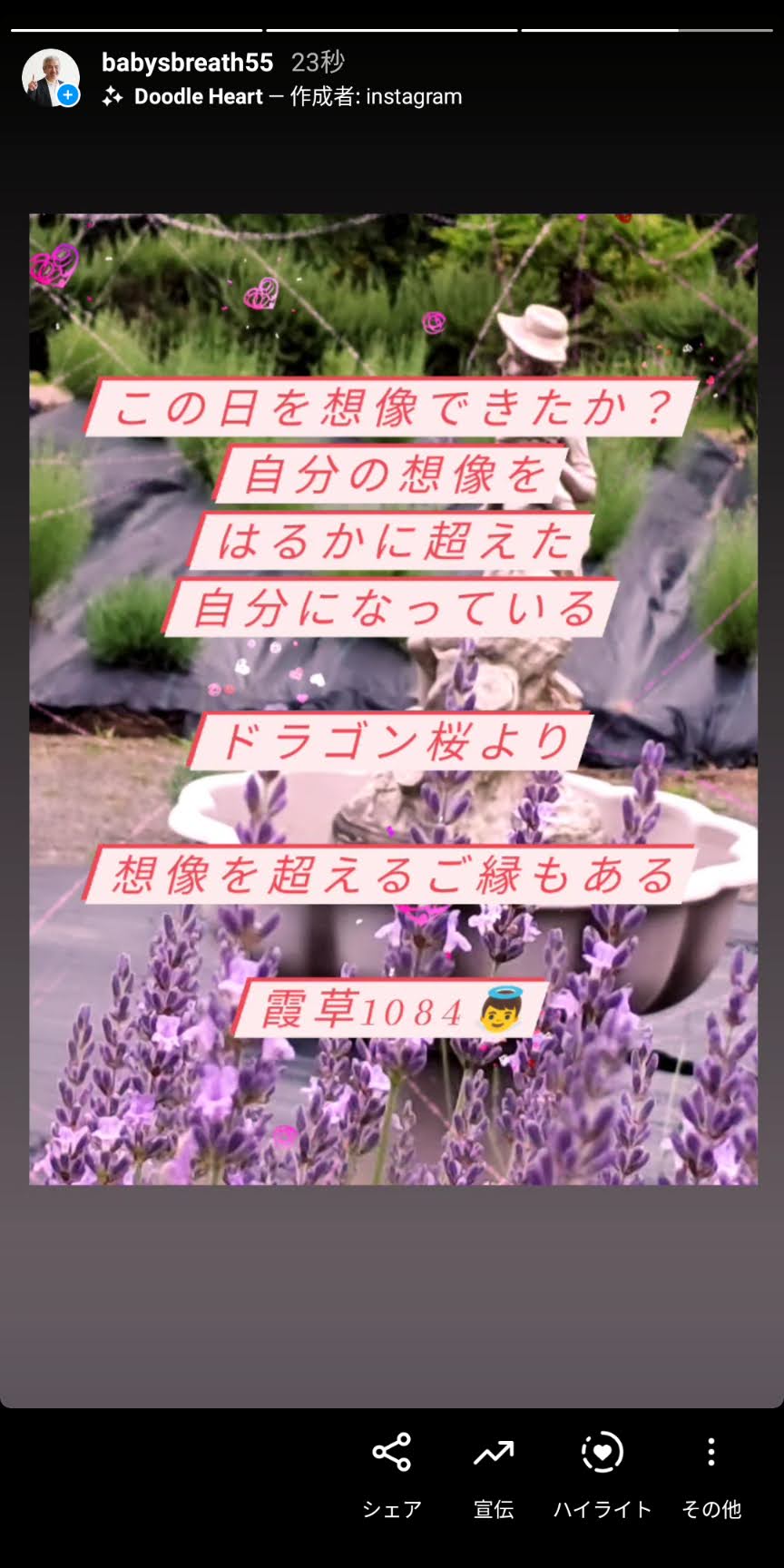 Screenshot_20210623-082158.jpg
