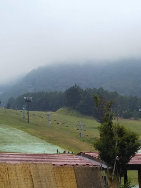 DSC_0047.jpg